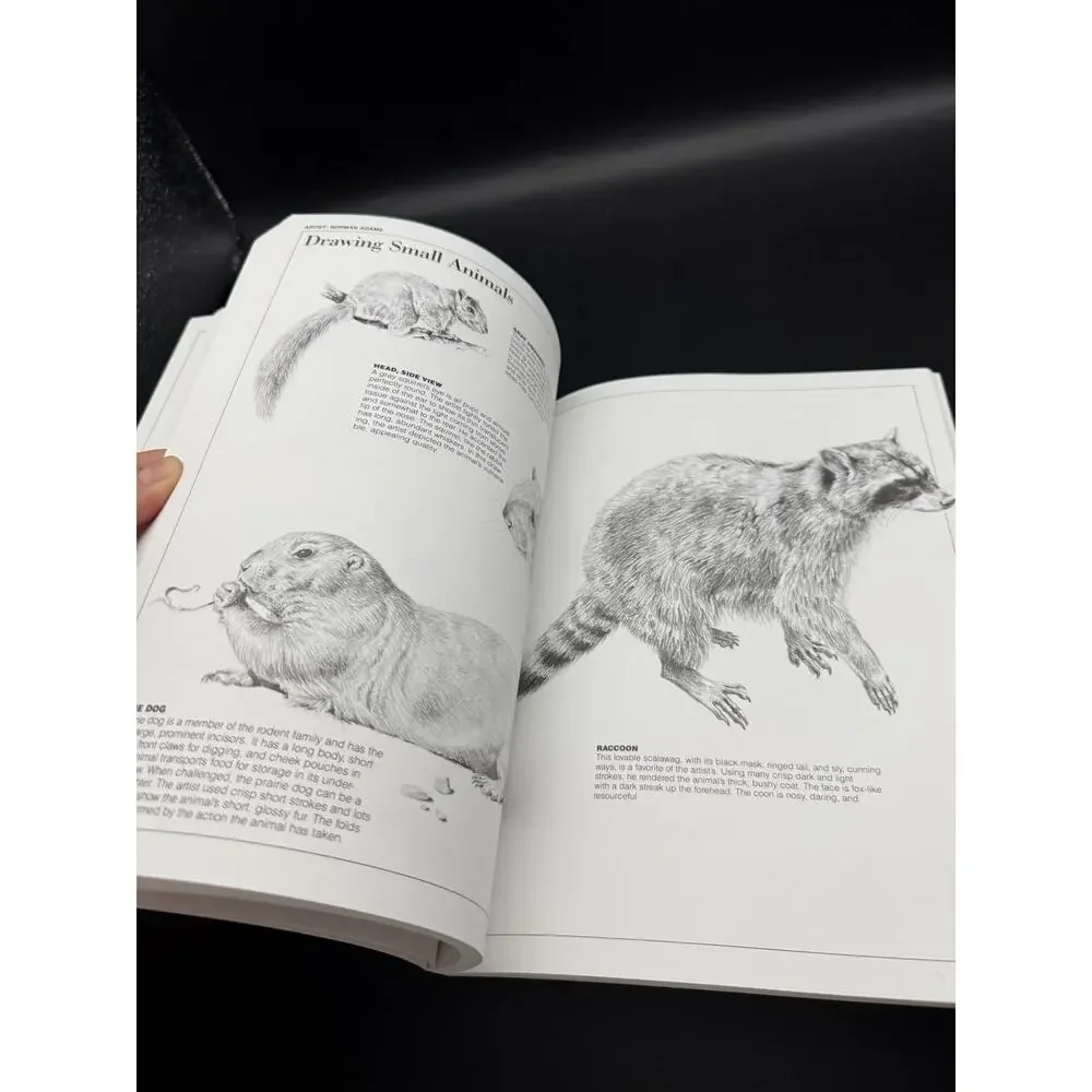 Vintage 1984 Pencil Drawing Techniques by David Lewis Instruction Book